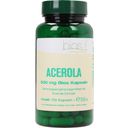Bios Naturprodukte Acerola 500 mg - 100 kaps.