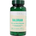bios Naturprodukte Valeriana 120 mg - 100 cápsulas