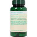 bios Naturprodukte Acerola 500 mg - 100 cápsulas