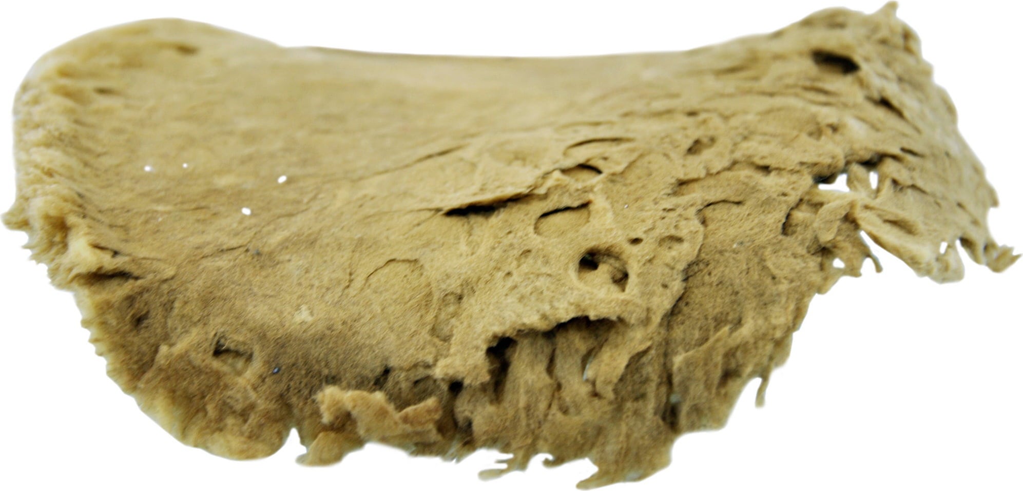 Cose della Natura Tasainen Honeycomb-sieni 10 - 12 g