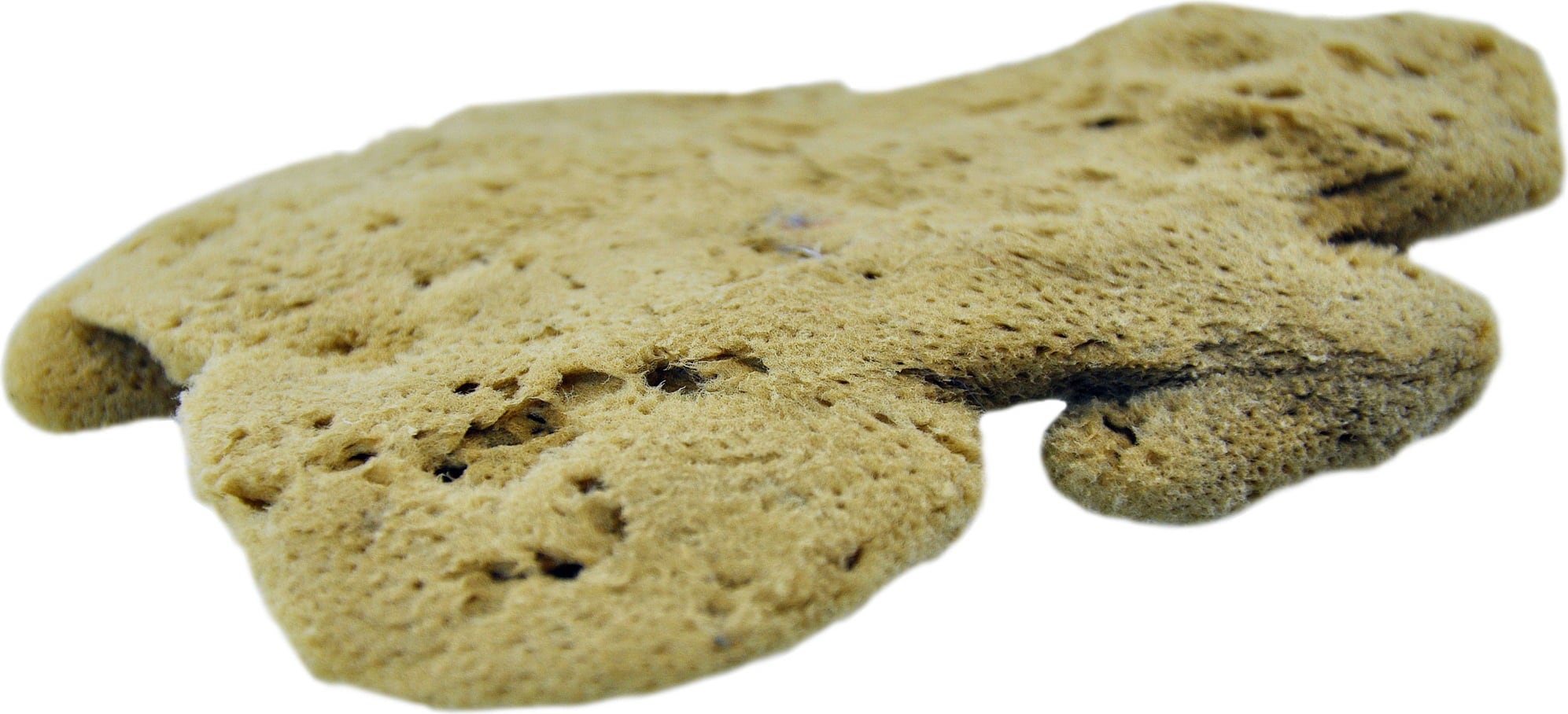 Cose della Natura Éponge de Soie Plate