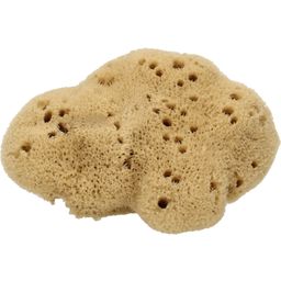 Cose della Natura Washed Fine Silk Sponge - Medium, 8-10 g