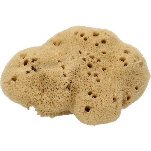 Cose della Natura Washed Fine Silk Sponge - Medium, 8-10 g
