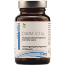 Darm Vital, 60 kaps.
