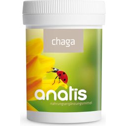 anatis Naturprodukte Chaga Pilz