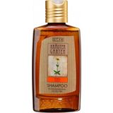 STYX Šampon za suhe lase zeliščni vrt