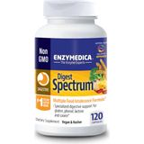 Enzymedica Digest Spectrum