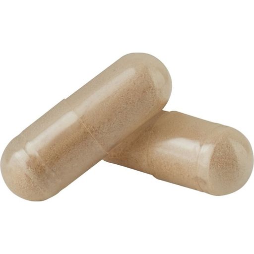 BjökoVit Skin - Hair - Nails - 60 capsules