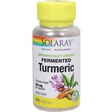 Solaray Fermented Turmeric