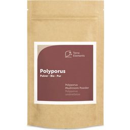 Terra Elements Polyporus in Polvere Bio - 100 g