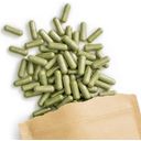 Terra Elements Organic Moringa Capsules - 150 capsules