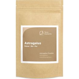 Terra Elements Organic Astragalus Powder - 100 g