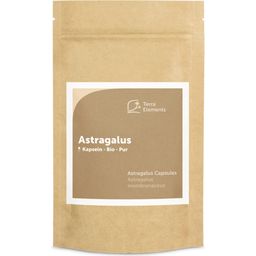 Terra Elements Organic Astragalus Capsules