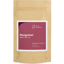 Terra Elements Organic Mangosteen Powder - 100 g