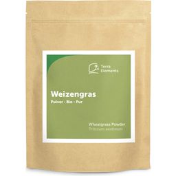 Terra Elements Weizengras Pulver Bio - 500 g