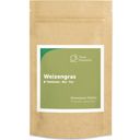 Terra Elements Organic Wheatgrass Tablets - 240 tablets