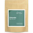 Terra Elements Organic Chlorella Powder - 500 g