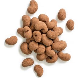 Terra Elements Bio Cashewnoten in Rauwe Chocolade - 150 g