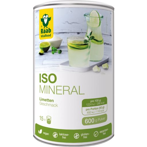Raab Vitalfood Iso-Mineral Limette - 600 g