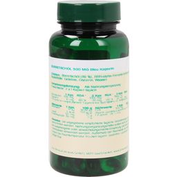 Rohtpurasruohoöljy 500 mg - 100 kapselia