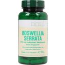 bios Naturprodukte Boswellia serrata 200 mg - 100 Kapslar