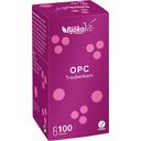 BjökoVit OPC Grape Seed - 100 capsules