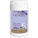 dr. WEYRAUCH Nr. 5 Frühlingserwachen