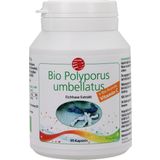 SanaCare Polyporus Extrakt Bio
