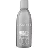 Canelo Brilliant Shampoo