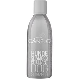 Canelo Brilliant Shampoo