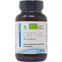 Life Light Cisto Bio - 60 capsule