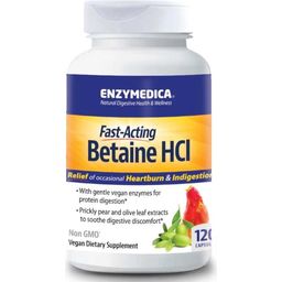 Enzymedica Betaine HCl - 120 gélules veg.