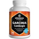 Vitamaze Garcinia Cambogia - 240 capsules