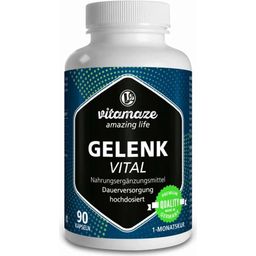 Vitamaze Геленк Витал - 90 капсули