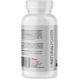 Natural Power Magnesio - 60 cápsulas