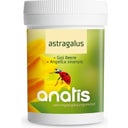 Astragalus, 90 capsules