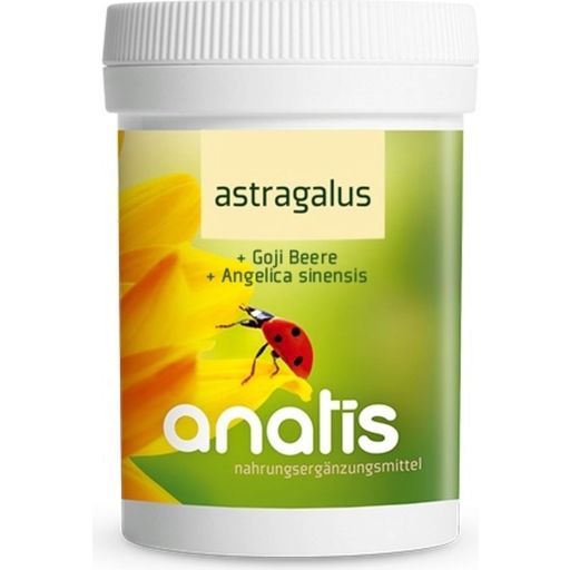 anatis Naturprodukte Astragalus - 90 Kapsułek
