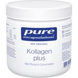 Pure Encapsulations Collagen Plus