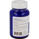 Allergy Research Group Essential-Biotic® L. Rhamnosus GG - 60 veg. kapsule