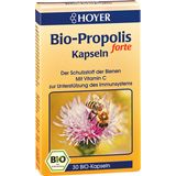 HOYER Bio propolis forte kapsuly