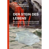Panaceo Der Stein des Lebens
