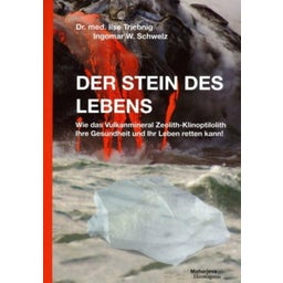 Panaceo Der Stein des Lebens - 1 Stück