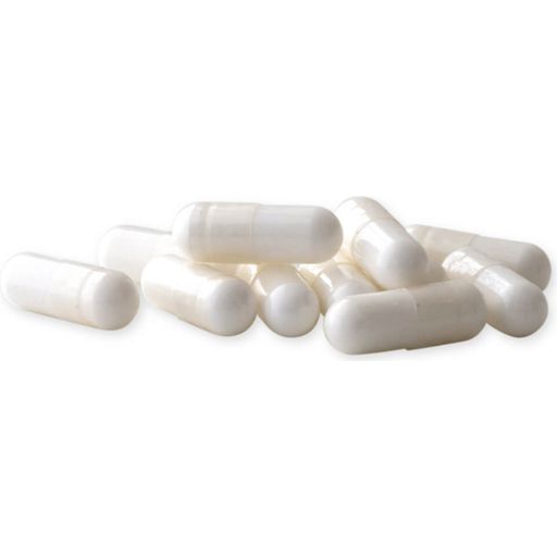 Raab Vitalfood L-Carnitine with Choline - 75 capsules