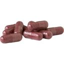 Raab Vitalfood Organic Cranberry Forte - 90 capsules