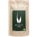 rawster Barley Grass Juice Powder Organic - 400 g
