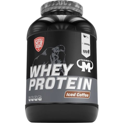 Mammut Whey Protein, 3000 g - Iced Coffee
