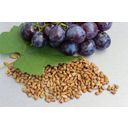Organiczny ekstrakt z pestek winogron OPC premium - 60 Kapsułek