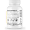 ZeinPharma Choline & Inositol - 450/450 mg - 60 gélules
