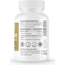 ZeinPharma Té Verde Deluxe, 500 mg - 60 cápsulas