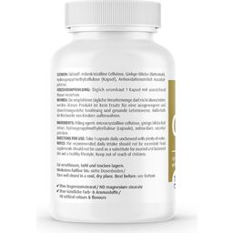 ZeinPharma Ginkgo 100 mg - 120 Cápsulas